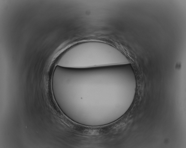X0000097770295200803070907