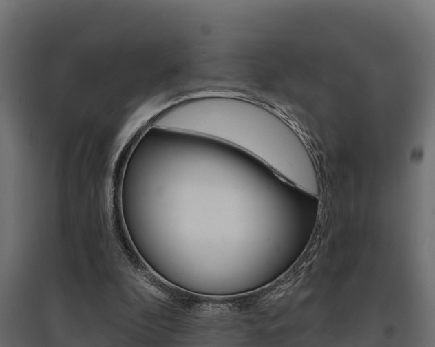 X0000097770296200803070907