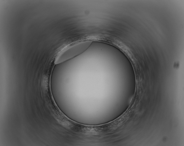 X0000097770297200803070907