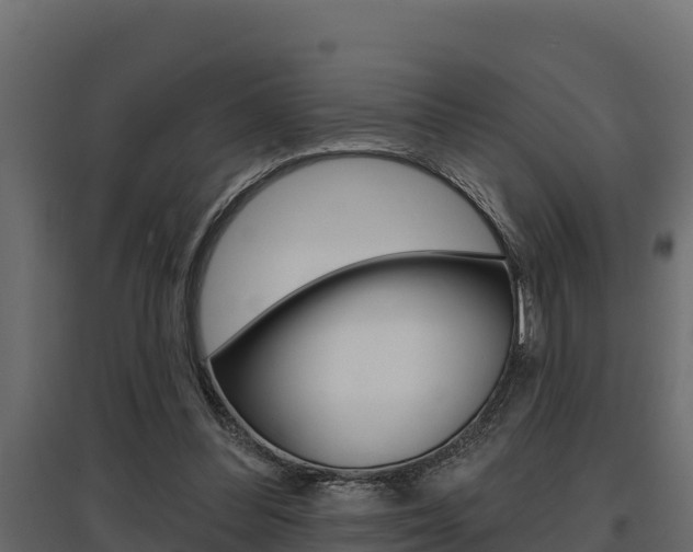 X0000097770300200803070907