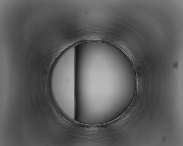 X0000097770301200803070907