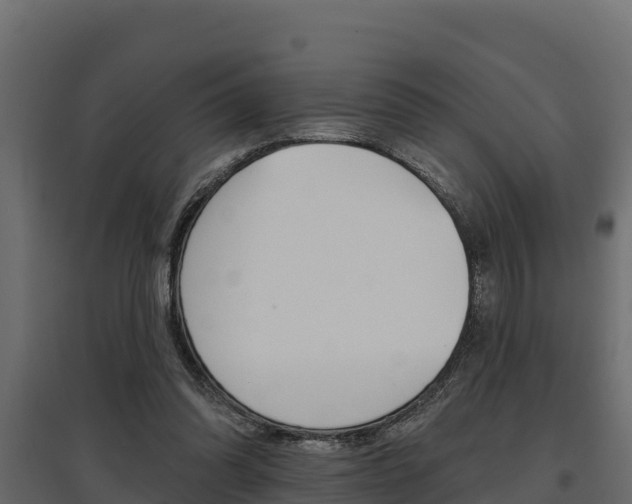 X0000097770302200803070907