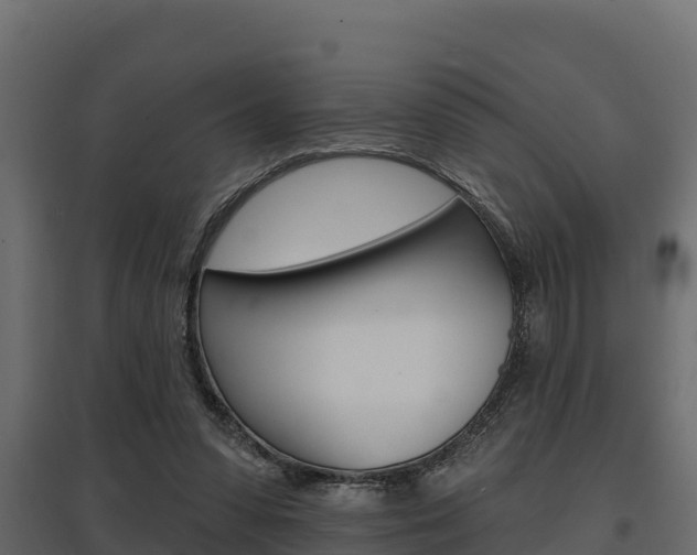 X0000097770303200803070907