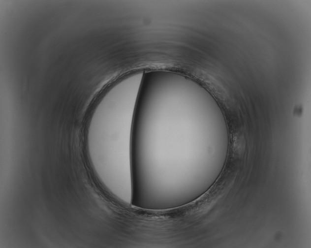 X0000097770304200803070907
