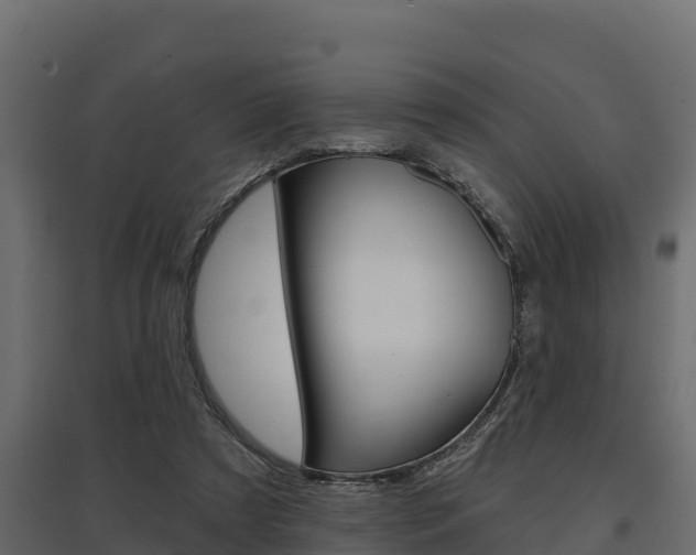 X0000097770305200803070907