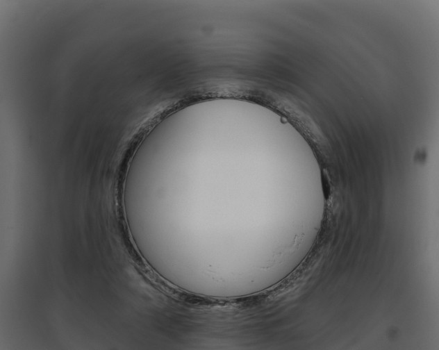 X0000097770306200803070907