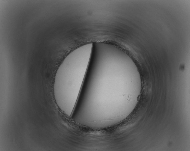 X0000097770307200803070907