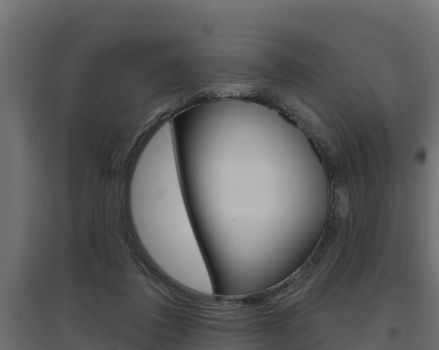X0000097770308200803070907