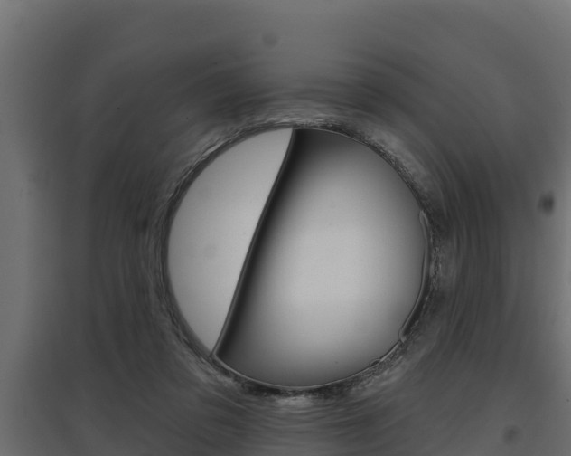 X0000097770309200803070907