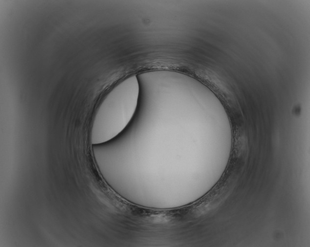 X0000097770310200803070907
