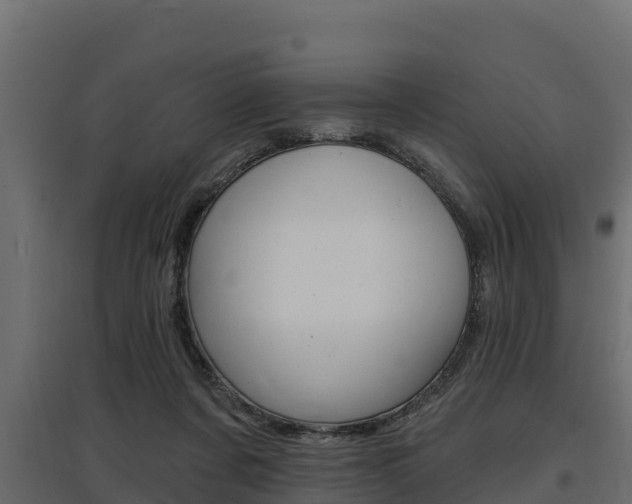 X0000097770311200803070907