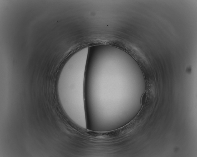 X0000097770312200803070907