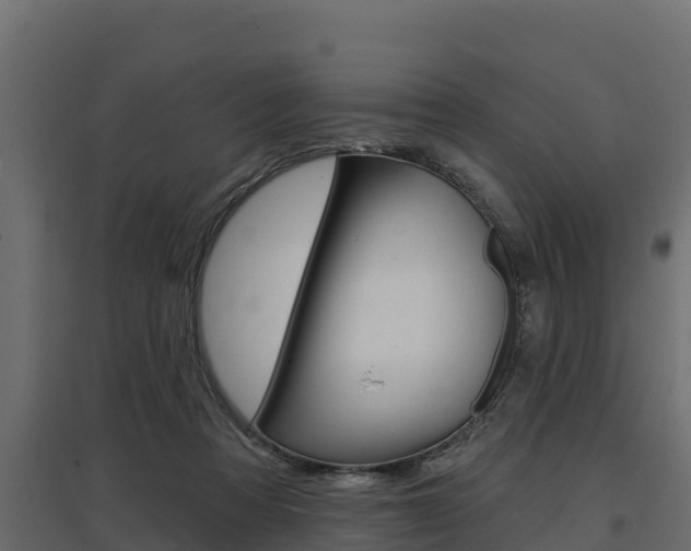 X0000097770313200803070907
