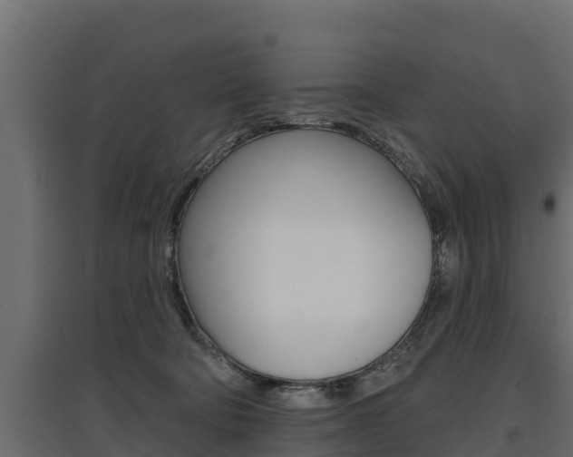 X0000097770322200803070907