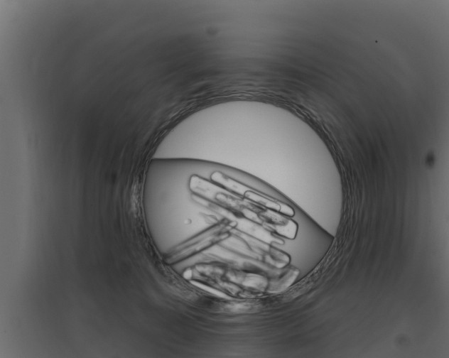 X0000097770323200803070907