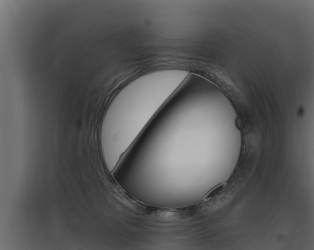 X0000097770325200803070907