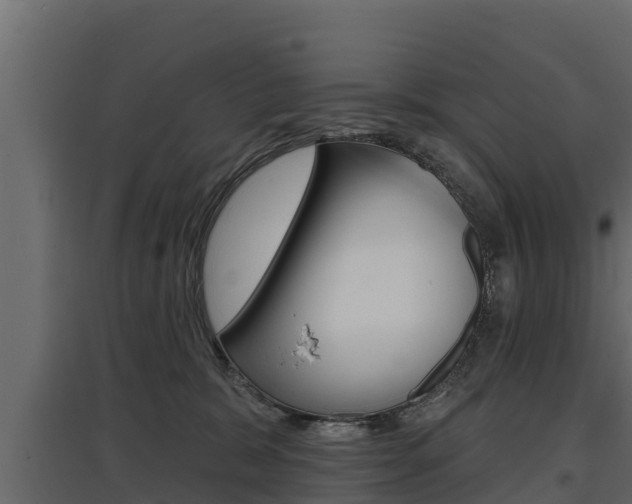X0000097770327200803070907