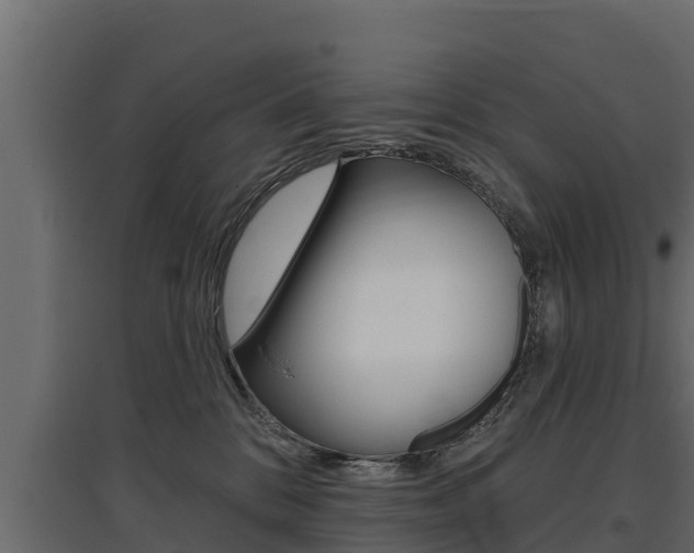 X0000097770328200803070907