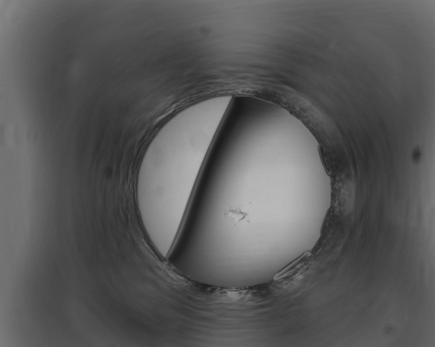 X0000097770329200803070907