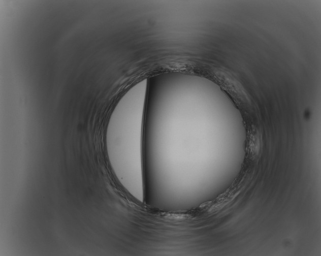 X0000097770332200803070906