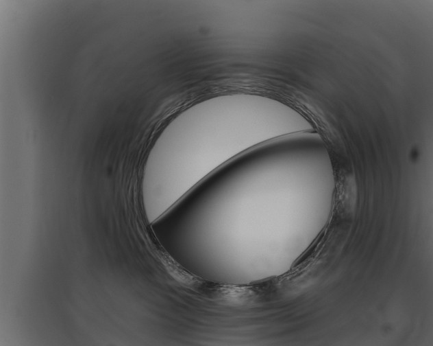 X0000097770333200803070906