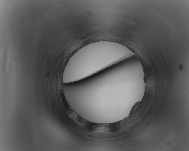 X0000097770335200803070906