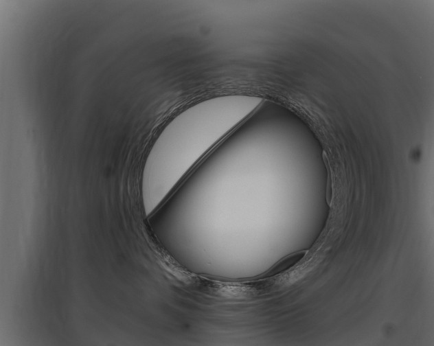 X0000097770336200803070906