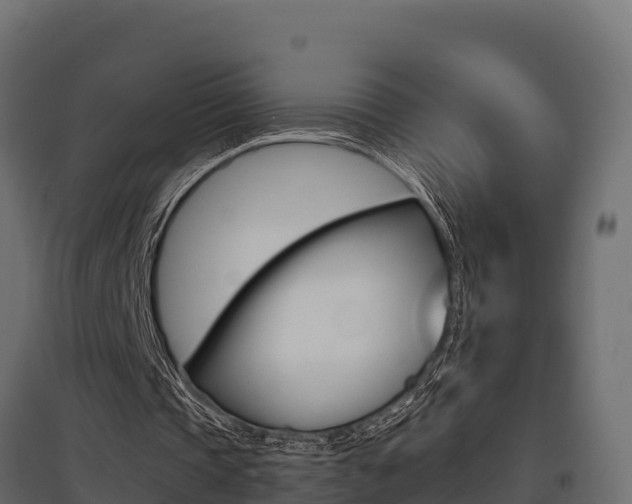 X0000097770337200803070906