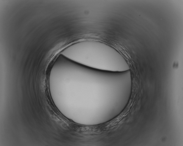 X0000097770338200803070906