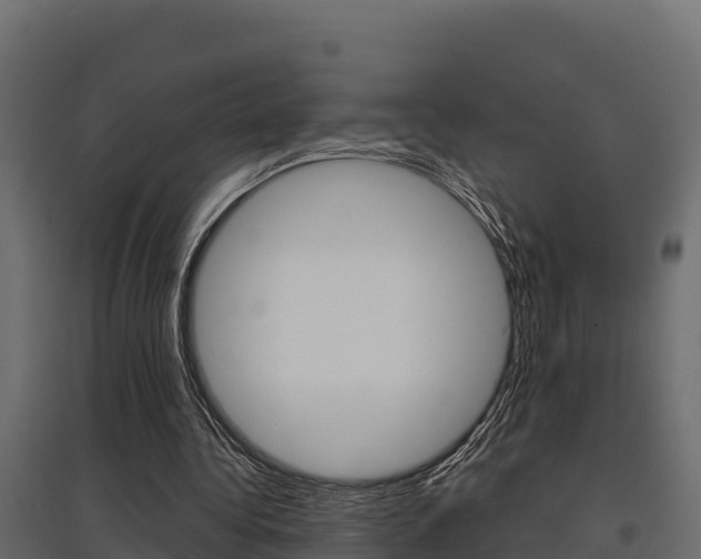 X0000097770340200803070906