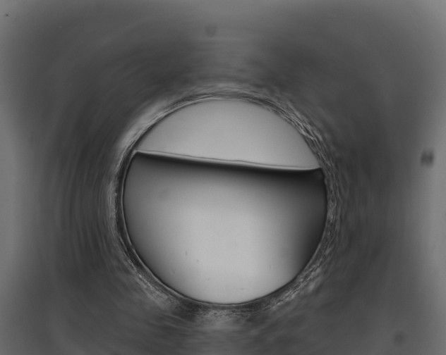 X0000097770341200803070906