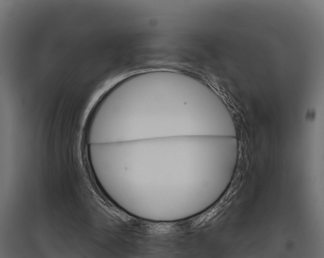 X0000097770342200803070906