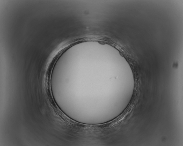 X0000097770343200803070906