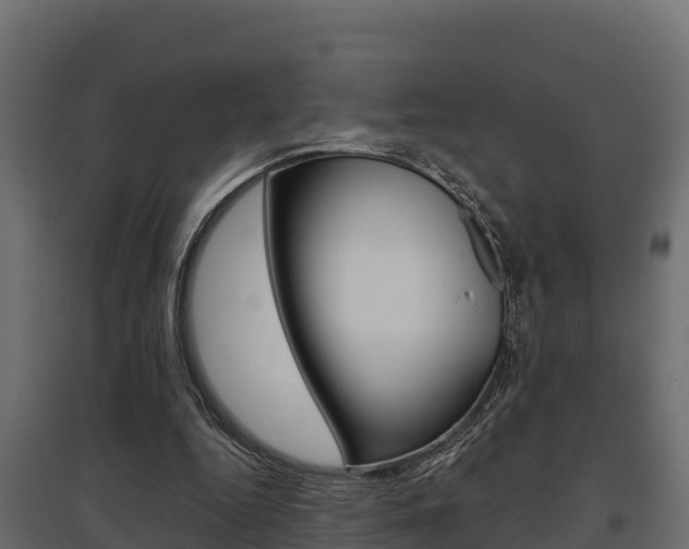 X0000097770344200803070906
