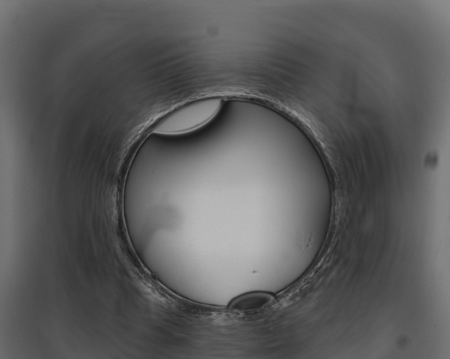 X0000097770345200803070906
