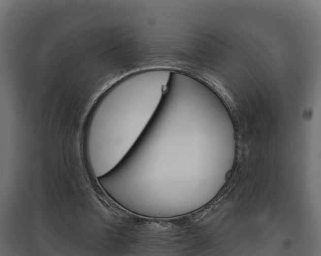 X0000097770346200803070906