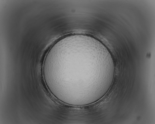 X0000097770347200803070906