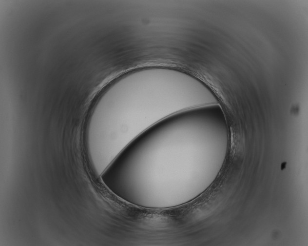 X0000097770348200803070906