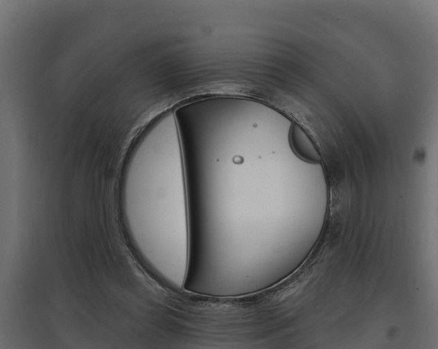 X0000097770349200803070906