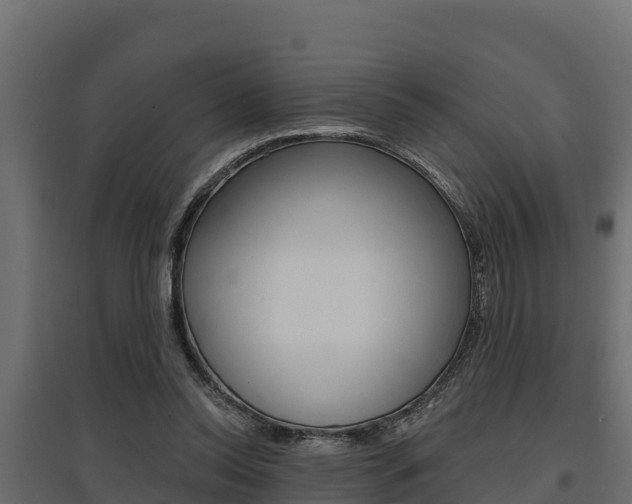 X0000097770350200803070906