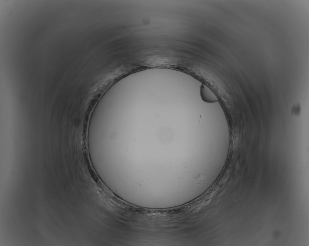 X0000097770353200803070906