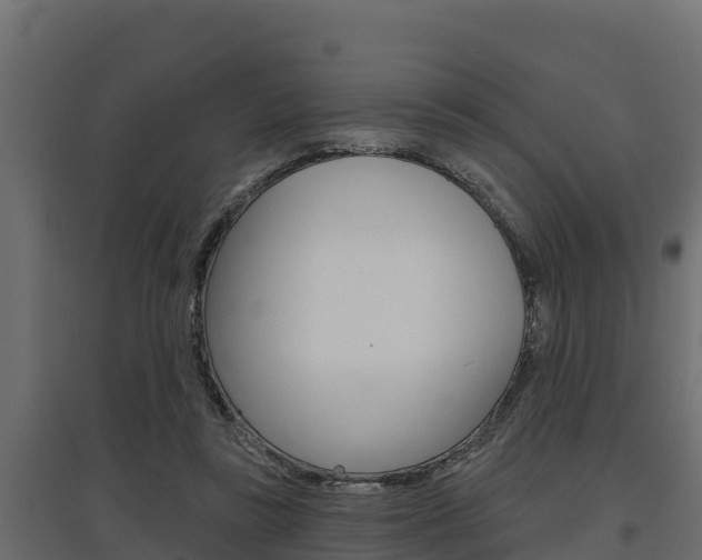 X0000097770355200803070906