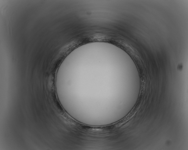 X0000097770361200803070906