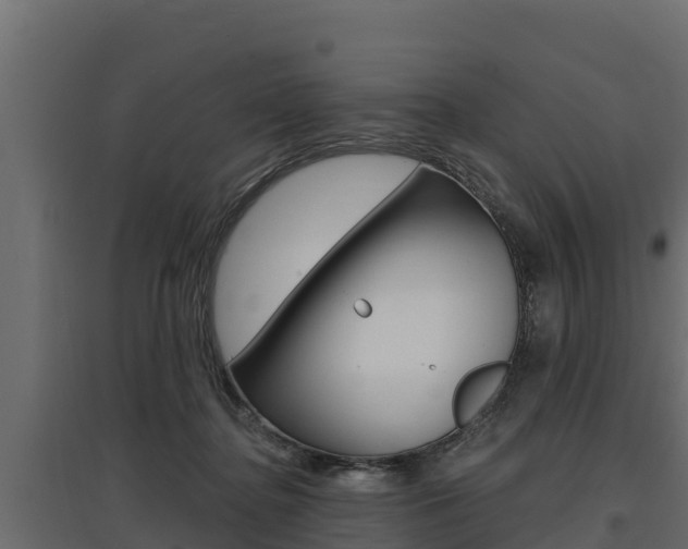 X0000097770364200803070906