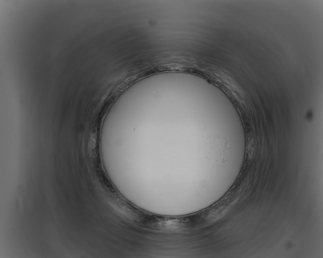 X0000097770365200803070906