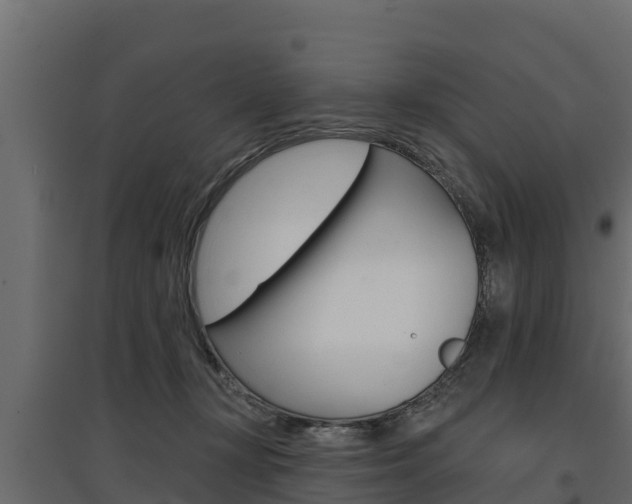 X0000097770367200803070906