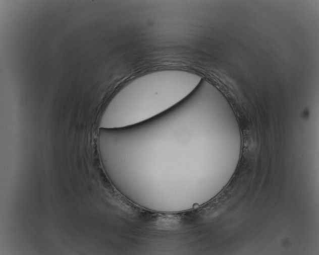 X0000097770369200803070906