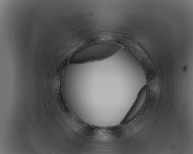 X0000097770372200803070906