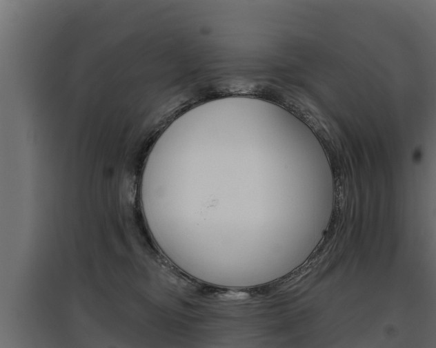 X0000097770374200803070906