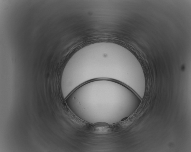 X0000097770376200803070906